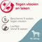 Beaphar Fiprotec Vlooien- en Tekenmiddel Hond 10-20 kg - 4 Pipetten