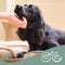 Beaphar Hondenshampoo Zwarte Vacht 250 ml