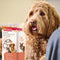 Beaphar Oogzalf - Hond/Kat - 5 ml