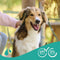 Beaphar Shampoo Hond Universeel 250 ml