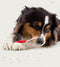 Beaphar Tandpasta - Borstel Combipack Puppy