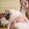 Beaphar voetzolenspray - 150 ML