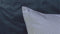 Beddinghouse Innovative dekbedovertrek - Eenpersoons - 140x200/220 - Blauw