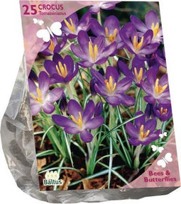 Bees & Butterflies - Crocus Tommasinianus per 25| Bloembollen | Flower bulbs | Najaarsbloeier |Bulb les fleurs