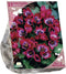 Bees & Butterflies - Tulipa Little Beauty per 25