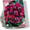 Bees & Butterflies - Tulipa Little Beauty per 25