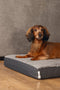 Beeztees memory foam Zira - Hondenkussen - Grijs - 75x50x9cm