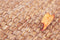 Beige Bruin vloerkleed - 160x230 cm - A-symmetrisch patroon - Modern