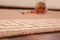 Beige Bruin vloerkleed - 160x230 cm - A-symmetrisch patroon - Modern
