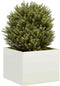 vidaXL - Plantenbak - 40x40x30 - cm - staal - wit