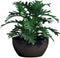 Beker - GARDEN ID - Green Care Impact Black-Anth - 25 x 12 cm - 10 jaar garantie - 100% gerecycled - UV-/gelbestendig