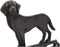 Bel DKD Home Decor Hond Kat Bruin Touw Gietijzer (14 x 15 x 24 cm) (2 Stuks)