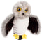 Beleduc handpop uil