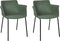 BELFIELD - Eetkamerstoel set van 2 - Groen - Stof
