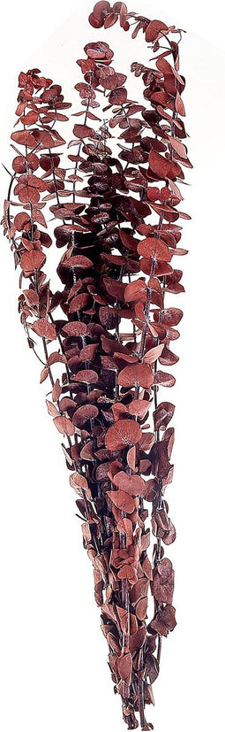 Beliani BADAJOZ - Droogbloemen boeket - Rood - Droogbloemen