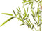 Beliani BAMBUSA VULGARIS - Kunstplant - Groen - Kunststof