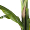 Beliani BANANA TREE - Kunstplant - Groen - Kunststof