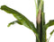 Beliani BANANA TREE - Kunstplant - Groen - Kunststof