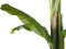 Beliani BANANA TREE - Kunstplant - Groen - Kunststof