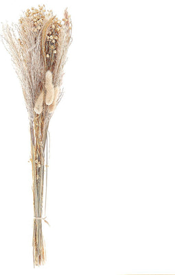 Beliani CABRA - Droogbloemen boeket - Natuurlijk - Droogbloemen