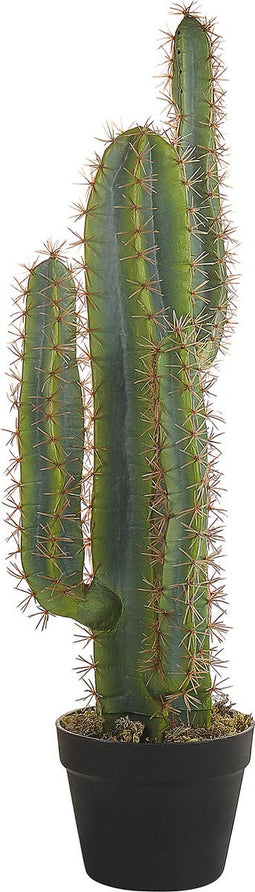 Beliani CACTUS - Kunstplant - Groen - Kunststof