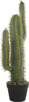 Beliani CACTUS - Kunstplant - Groen - Kunststof
