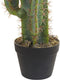 Beliani CACTUS - Kunstplant - Groen - Kunststof