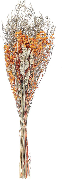 Beliani CERCEDILLA - Droogbloemen boeket - Oranje - Droogbloemen