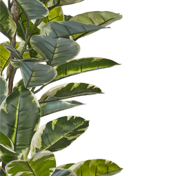 Beliani FICUS ELASTICA - Kunstplant - Groen - 160 cm - Synthetisch materiaal