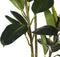 Beliani FICUS ELASTICA - Kunstplant - Groen - Kunststof