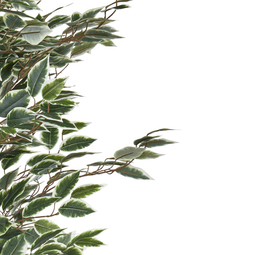 Beliani FICUS TREE - Kunstplant - Groen - 167 cm - Synthetisch materiaal