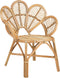 Beliani FLORENTINE II - Fauteuil - Natuurlijk - Rotan