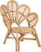 Beliani FLORENTINE II - Fauteuil - Natuurlijk - Rotan