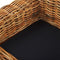 Beliani FORLI - Tuinbank - Beige - Rotan