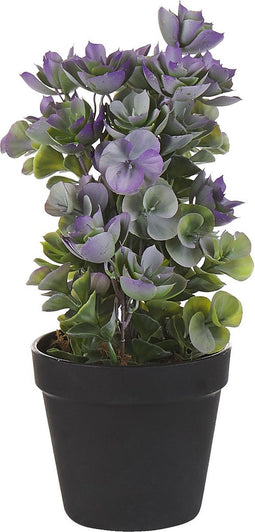 Beliani HOUSELEEK - Kunstplant - Groen - Kunststof