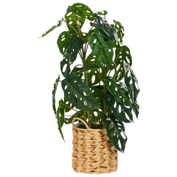 Beliani KIAMA - Kunstplant - Groen - 53 cm - Synthetisch