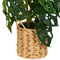 Beliani KIAMA - Kunstplant - Groen - 53 cm - Synthetisch