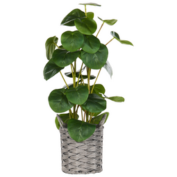 Beliani KIBETI - Kunstplant - Groen - 55 cm - Synthetisch
