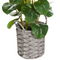 Beliani KIBETI - Kunstplant - Groen - 55 cm - Synthetisch