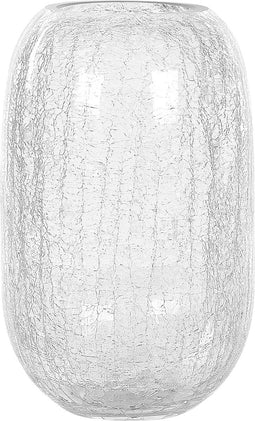 Beliani KYRAKALI - Decoratieve vaas - Transparant - Glas