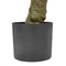 Beliani LAUREL - Kunstplant - Groen - 160 cm - Synthetisch