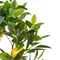 Beliani LEMON TREE - Kunstplant - Groen - 105 cm - Synthetisch materiaal
