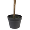 Beliani LEMON TREE - Kunstplant - Groen - 105 cm - Synthetisch materiaal