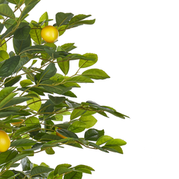 Beliani LEMON TREE - Kunstplant - Groen - 156 cm - Synthetisch materiaal