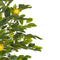 Beliani LEMON TREE - Kunstplant - Groen - 156 cm - Synthetisch materiaal