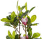 Beliani MAGNOLIA - Kunstplant - Groen - Kunststof