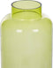 Beliani MAKHANI - Bloemenvaas - Groen - Glas
