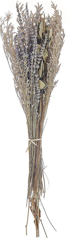 Beliani NAWARRA - Droogbloemen boeket - Paars - Droogbloemen