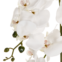 Beliani NIOKA - Kunstplant - Wit/Groen - 63 cm - Synthetisch