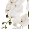 Beliani NIOKA - Kunstplant - Wit/Groen - 63 cm - Synthetisch